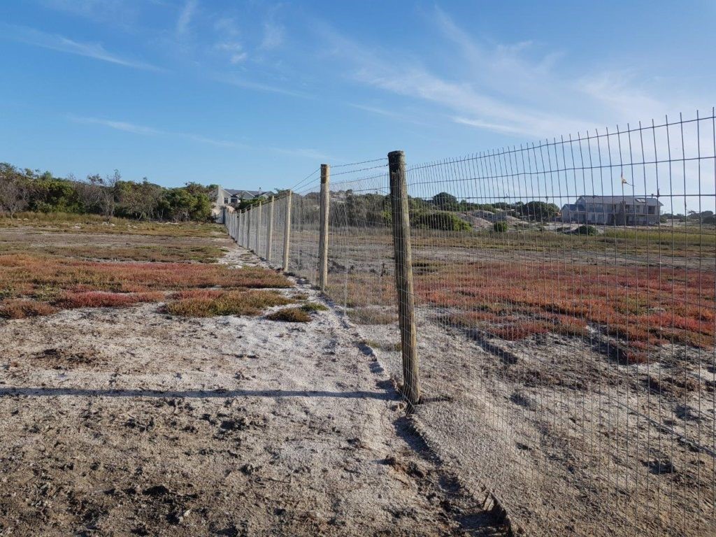 Part of the activity of Botfriends 2020, the illegal fence across wetland now final removed