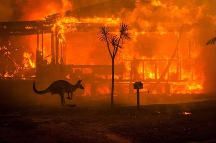 Huge fires in Australia, mostly due to climate change