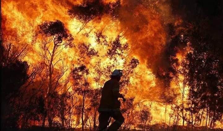 Massive fires in Australia and the rest of the world, due to climate change.