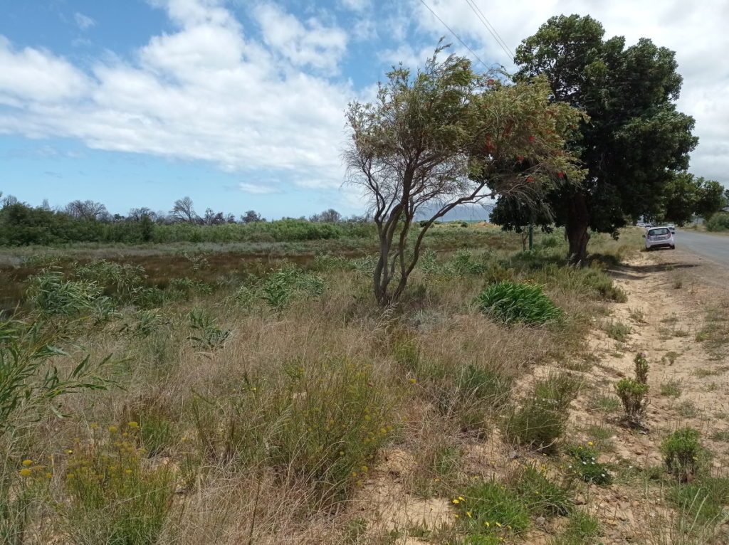 Engineered drainage lines bypassing natural drainage area causing potential flooding