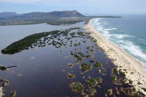 World wetland day focused on the Bot River Estuary