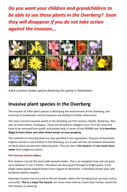 Invasive plant species Fisherhaven pamphlet