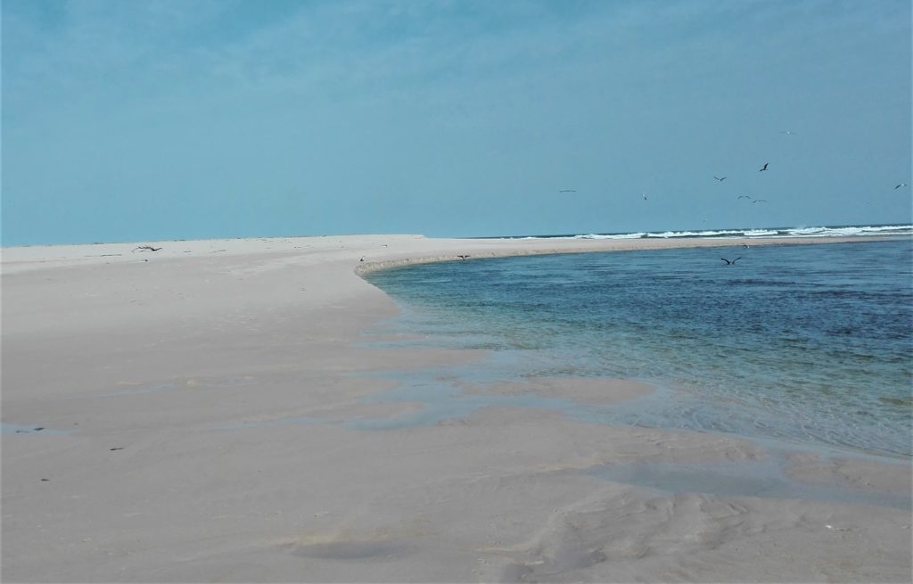 Low tide with new bank developing. 