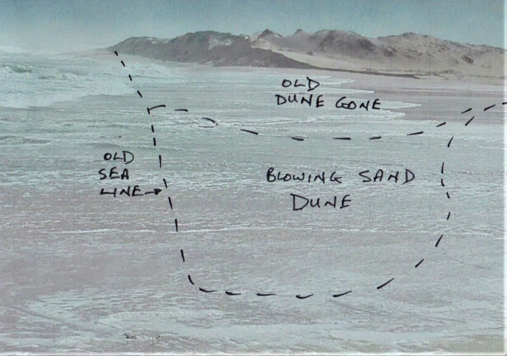 Blowing sand dune and old dune eroded away from the artificial breach